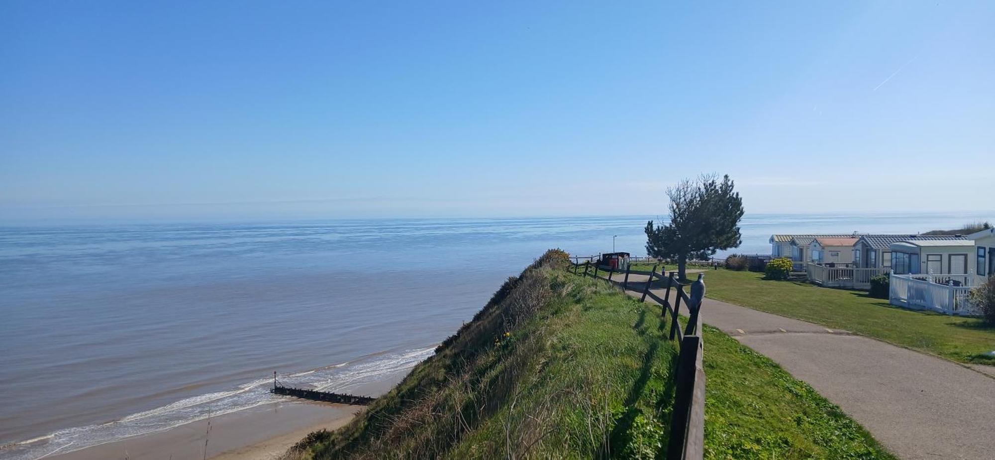 Ocean View 95 Otel Trimingham Dış mekan fotoğraf