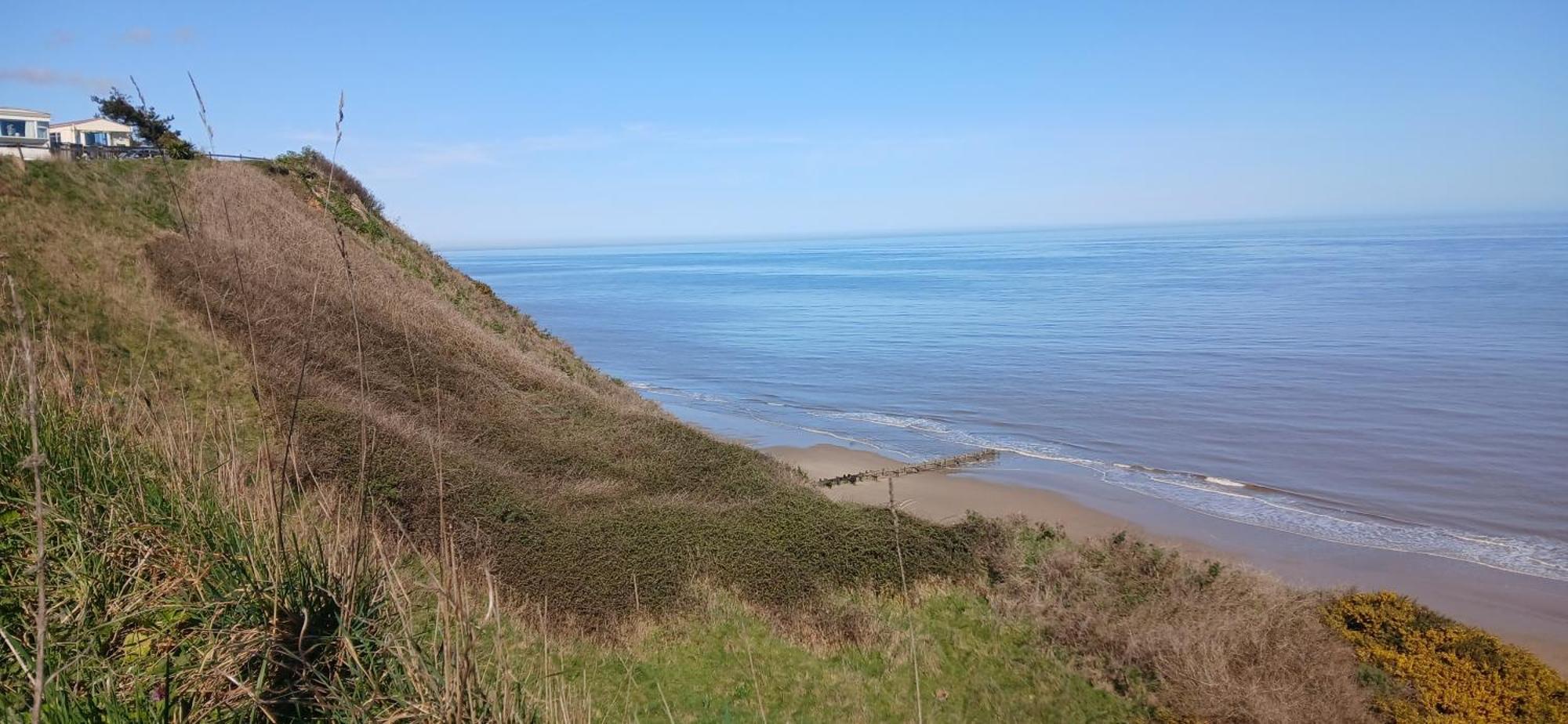 Ocean View 95 Otel Trimingham Dış mekan fotoğraf
