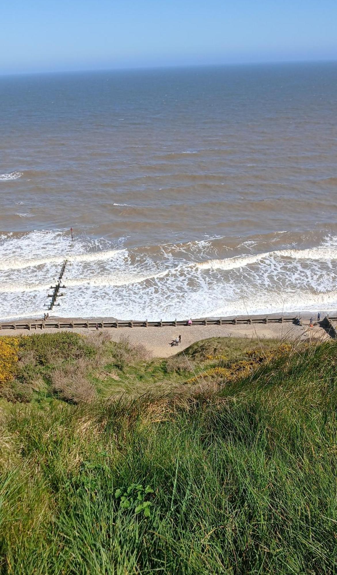 Ocean View 95 Otel Trimingham Dış mekan fotoğraf